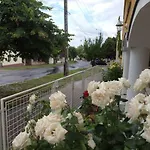 Apartament Yellow Rose