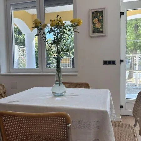 Apartment Yellow Rose Balatongyorok