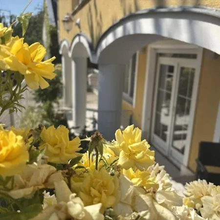 Yellow Rose Balatongyorok