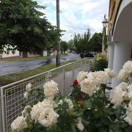 Apartment Yellow Rose