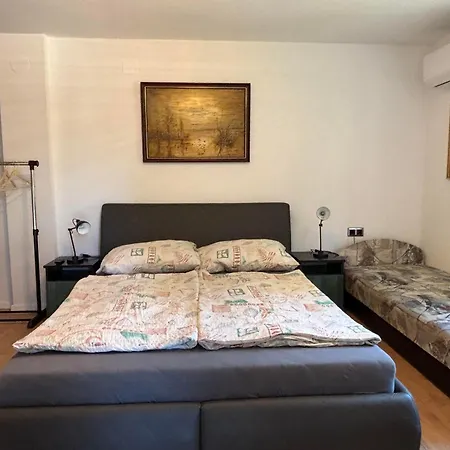 Yellow Rose Apartment